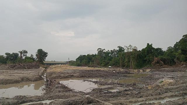 image8