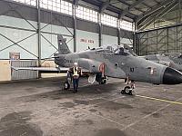 IMG 5448