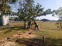 image10