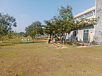 image11