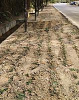 Perapihan Bekas Galian Kabel FO area depan Simulator