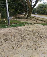 Perapihan Bekas Galian Kabel TM dan FO area SQ 16