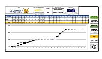 Report Progress Week 11 MV Electrical & IT Network
