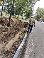IMG-20250114-WA0158