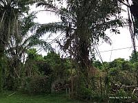 IMG 20240715 142212
