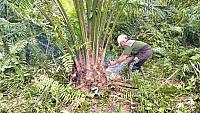 IMG-20240705-WA0041