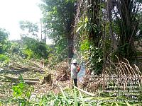 IMG-20240705-WA0042