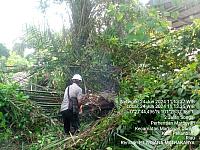 IMG-20240705-WA0043