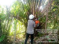 IMG-20240705-WA0047