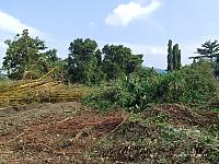 IMG 20240720 093147