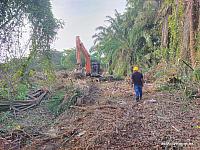 IMG-20240719-WA0056