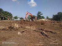 IMG-20240725-WA0012