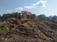 IMG-20240725-WA0013