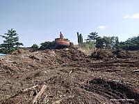 IMG-20240725-WA0021
