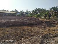 IMG-20240804-WA0023