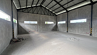 image7